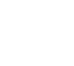 Payment